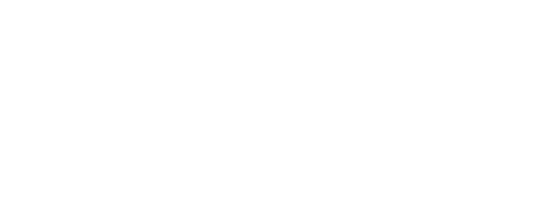 holovision landing